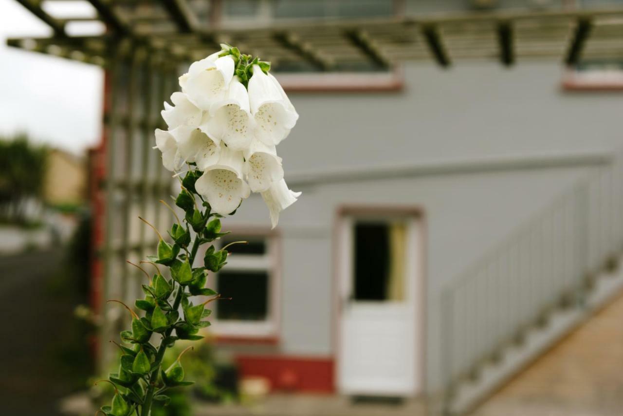 Bed and Breakfast Eagle Heights Инишкрон Экстерьер фото