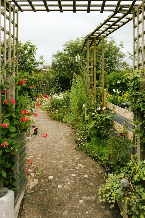 Bed and Breakfast Eagle Heights Инишкрон Экстерьер фото